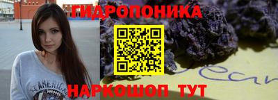 крисы Дубна
