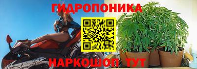 бошки Заволжье
